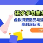 (12360期)拼多多电商实操2.0:虚拟资源选品与运营全攻略,高利润玩法,月入过万
