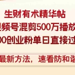 (12391期)精华帖视频号混剪500万播放引流17000创业粉,单日直接过万变现,最新方…