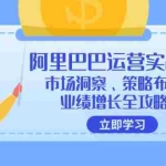 (12385期)阿里巴巴运营实战课:市场洞察、策略布局、业绩增长全攻略