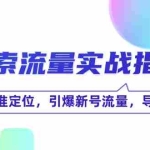 (12382期)线 索 流 量-实战指南:如何精准定位,引爆新号流量,导入私域