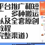 (12406期)短剧平台推广和短剧推广,多种搬运玩法以及全套原创剪辑教程(附完整渠…