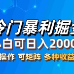 (12440期)最新冷门蓝海项目,无脑搬运,小白可轻松上手,多种变现方式,一天十几…