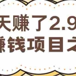 (12491期)闲鱼小红书赚钱项目之一,轻松月入6万+项目