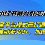 (12505期)最新小红书暴力引流法4.0, 全平台模式已打通,日精准引流300+,加爆微…