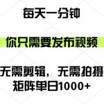 （12538期）矩阵单日1000+，你只需要发布视频，用时一分钟，无需剪辑，无需拍摄