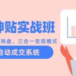 （12534期）天涯神贴实战班：抖音+公众号+网盘，三合一变现模式，搭建自动成交系统