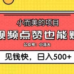 (12514期)小而美的项目,给视频点赞就能赚钱,捡钱快,每日500+