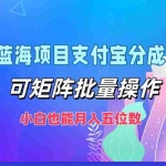 (12515期)最新蓝海项目支付宝分成计划,可矩阵批量操作,小白也能月入五位数