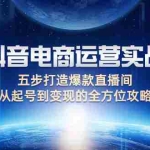 (12542期)抖音电商运营实战:五步打造爆款直播间,从起号到变现的全方位攻略