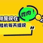 (12562期)最新玩法 头条挂机阅读 全自动操作 小白轻松上手 门槛极低仅需一部手机…