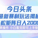 (12584期)今日头条最新暴利掘金玩法揭秘,动手不动脑,简单易上手。轻松矩阵实现…