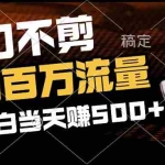 (12576期)2分钟一个作品,一刀不剪,撬动百万流量,新人小白刚做就赚500+