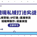 (12598期)Tk跨境私域打法实战:私域营销/IP打造/直播带货/短视频制作/流量变现