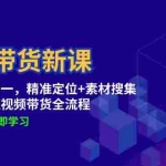 （12588期）TK带货新课：从零到一，精准定位+素材搜集 掌握短视频带货全流程