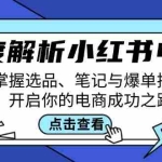 (12585期)深度解析小红书电商:掌握选品、笔记与爆单技巧,开启你的电商成功之路