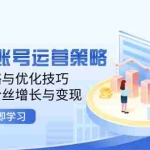 (12614期)TikTok账号运营策略:涨粉策略与优化技巧,快速实现粉丝增长与变现