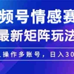 (12609期)视频号创作者分成情感赛道最新矩阵玩法日入3000+