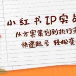 （12604期）小红书IP实战营深度解析：从方案策划到执行落地，快速起号  轻松变现