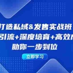 (12642期)打造私域&发售实操班:精准引流+深度培育+高效成交,助你一步到位