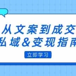 (12641期)从文案到成交,私域&变现指南:朋友圈策略+文案撰写+粉丝运营实操