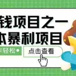 (12659期)最新赚钱项目之一,简单操作,冷门长久项目