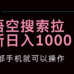 (12717期)悟空搜索类拉新 蓝海项目 一部手机就可以操作 教程非常详细