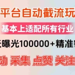 (12709期)小红书抖音视频号最新截流获客系统,全自动引流精准客户【日曝光10000+…