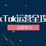 (12739期)TikTok实战运营全攻略:从下载软件到变现,抖音海外版实操教程