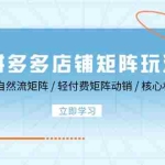 (12720期)拼多多店铺矩阵玩法:低客单自然流矩阵 / 轻付费矩阵 动销 / 核心权重提升