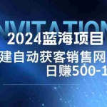 (12743期)2024蓝海项目,搭建销售网站,自动获客,日赚500-1000