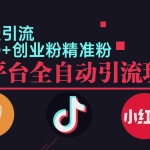 (12765期)小红书抖音视频号截流自热全平台引流打法,全自动引流【日引2000+精准…