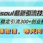 (12772期)9月份soul最新引流技术5.0,日稳定引流300+创业粉,加爆微信,卷死同行