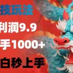 (12793期)黑科技玩法,一单利润9.9,一天到手1000+,新手小白秒上手