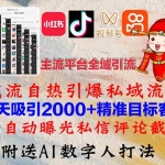(12786期)小红书,抖音,视频号,快手主流平台全域引流,截流自热引爆私域流量,…