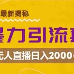 (12800期)超暴力引流套路,无人直播日入2000+