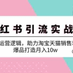 （12809期）小红书引流实战课：详解运营逻辑，助力淘宝天猫销售增量，爆品打造月入10w