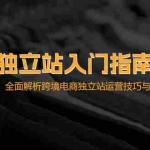 (12882期)独立站入门指南:从选品到建站,全面解析跨境电商独立站运营技巧与爆品…