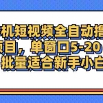 (12898期)手机短视频掘金项目,单窗口单平台5-20 可批量适合新手小白