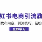 (12913期)小红书电商引流教程:从基础操作到发布内容,引流技巧,轻松打造爆款产品