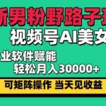 (12909期)最新男粉野路子玩法,视频号AI美女,当天见收益,轻松月入30000+