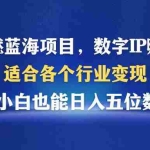 (12941期)最燃蓝海项目  数字IP孵化  适合各个行业变现  小白也能日入5位数