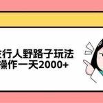 (12929期)抖音发行人野路子玩法,手机操作一天2000+