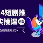 (12950期)2024最火爆的项目短剧推广实操课 一条视频变现5万+