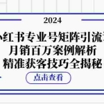(12943期)小红书专业号矩阵引流课,月销百万案例解析,精准获客技巧全揭秘