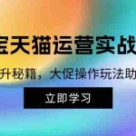 (12959期)淘宝&天猫运营实战课程,传授流量提升秘籍,大促操作玩法助你销量飙升