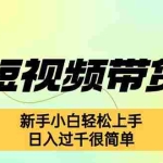(12957期)快手短视频带货项目,最新玩法 新手小白轻松上手,日入过千很简单