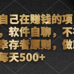 (12956期)我自己在赚钱的项目,软件自聊,不存在幸存者原则,做就有每天500+