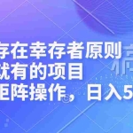 (12989期)不存在幸存者原则,做就有的项目,可矩阵操作,日入500+