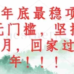 (12970期)2024年底最稳项目,小白无门槛,坚持做三个月,回家过肥年!!!