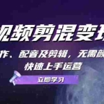 (13009期)短视频剪混变现营:文案创作、配音及剪辑,无需颜值口才,快速上手运营